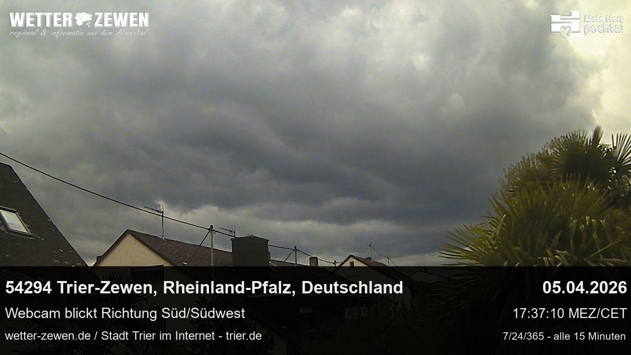 Bild