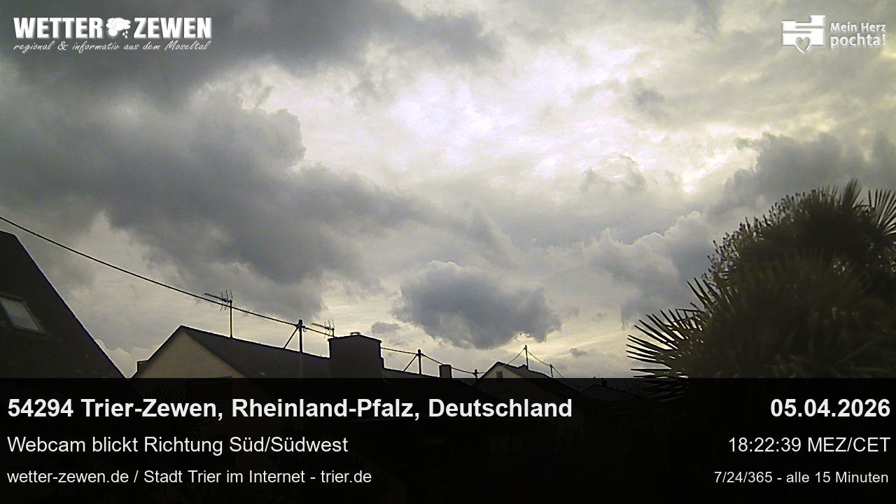 Bild