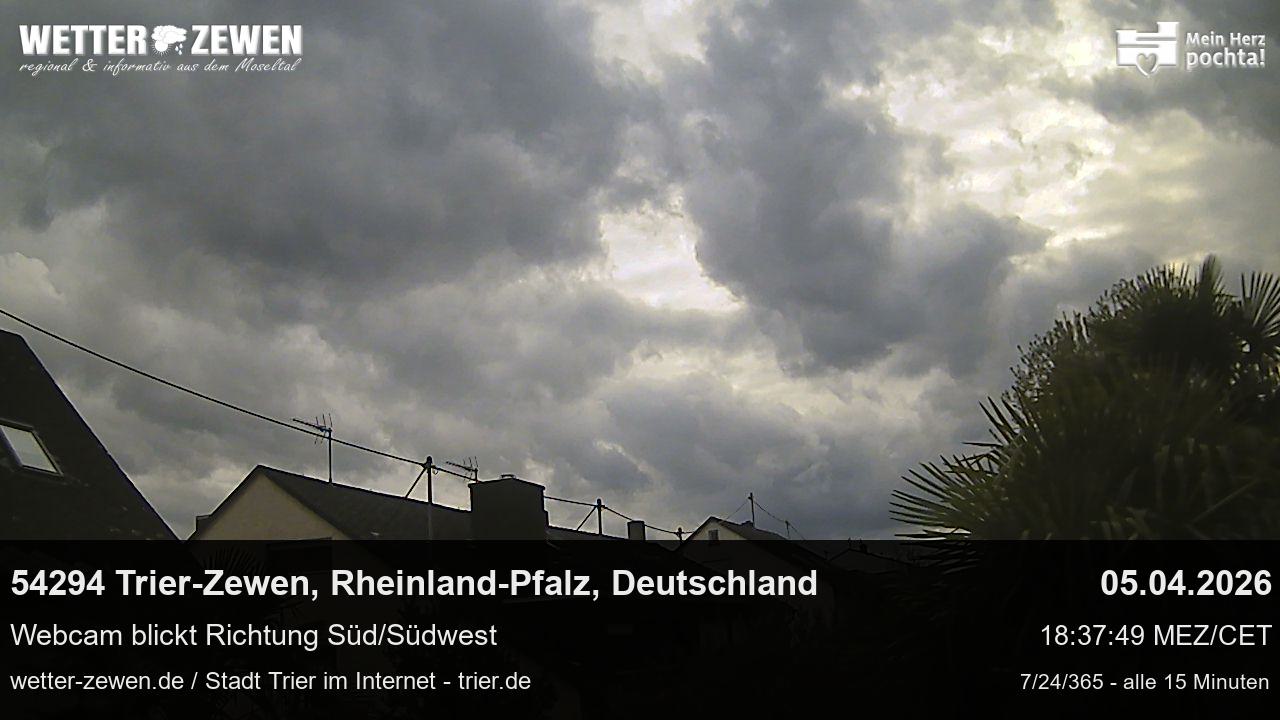 Bild