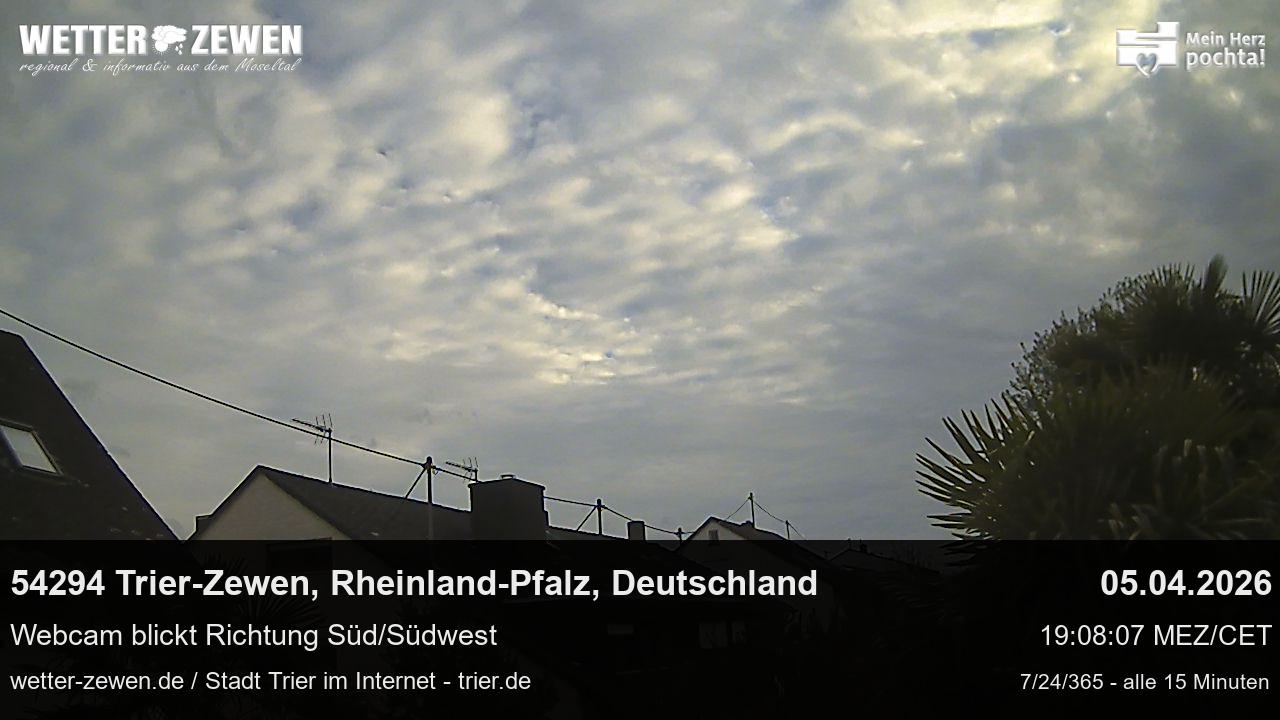 Bild