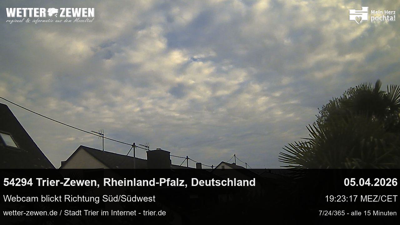 Bild