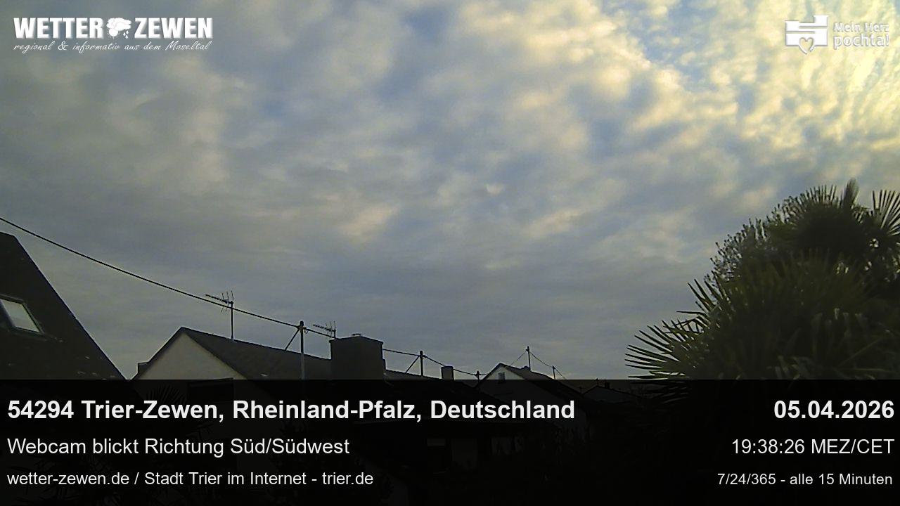 Bild