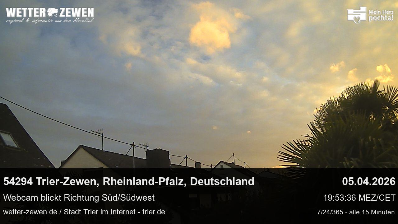 Bild