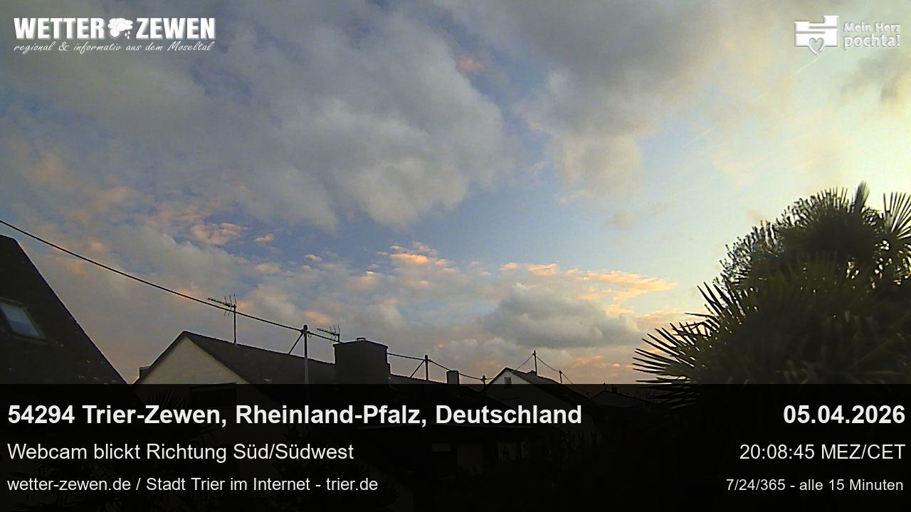 Bild