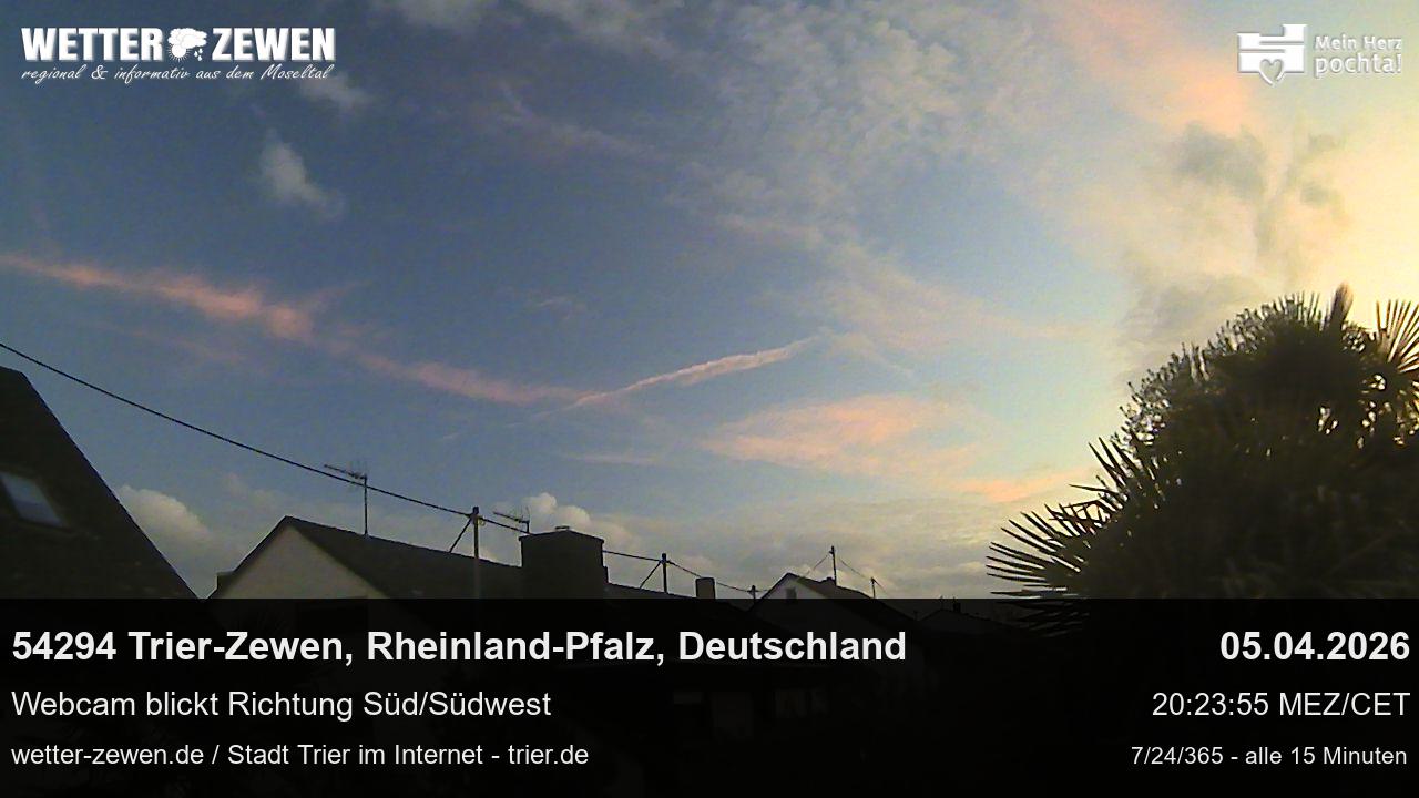 Bild