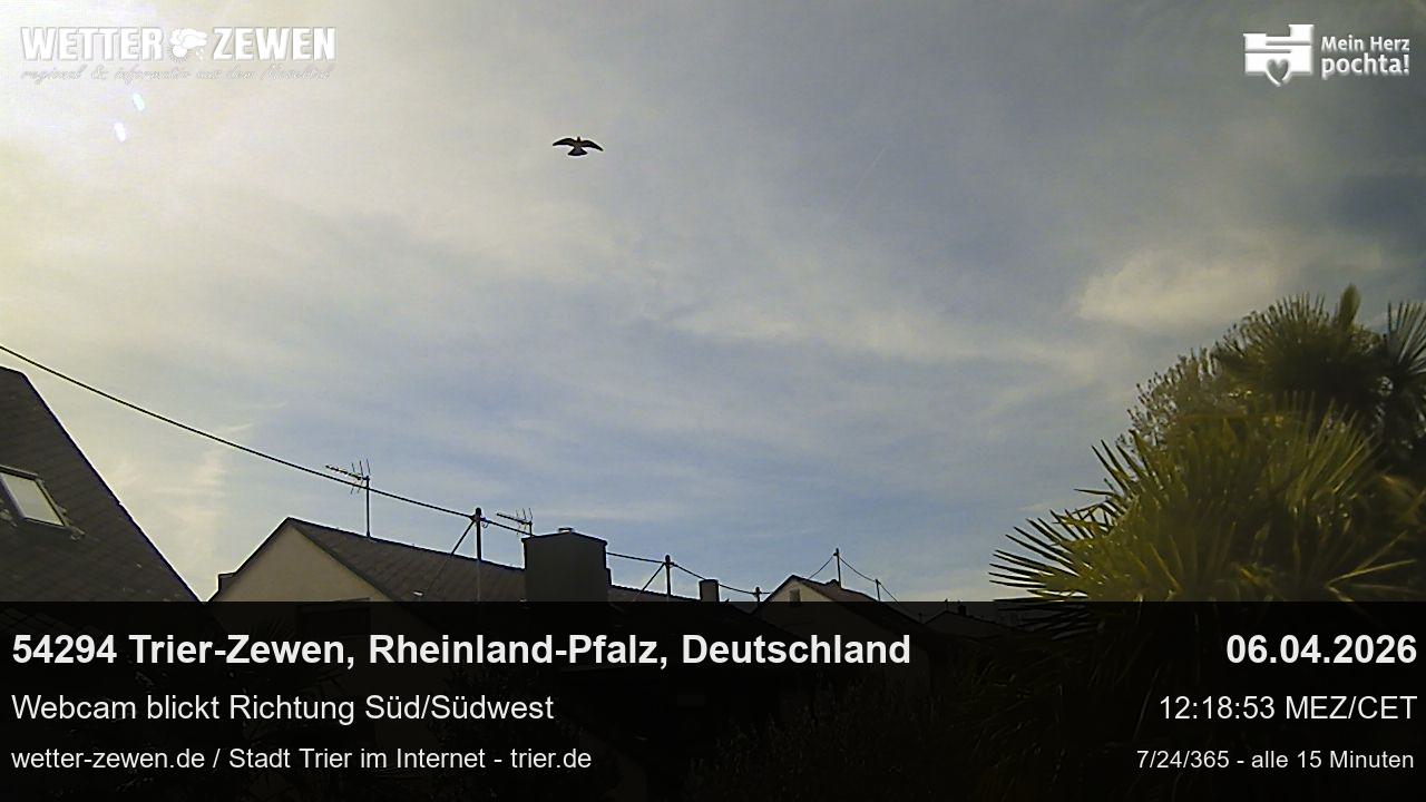 Bild