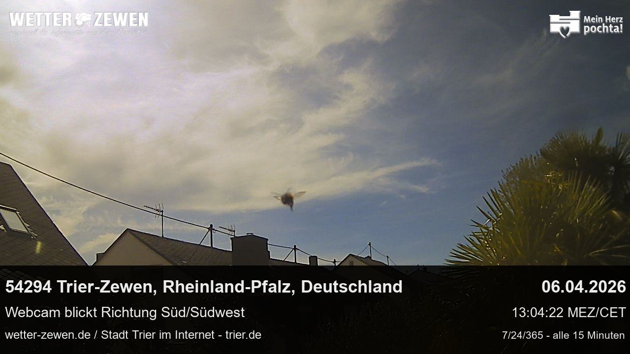 Bild