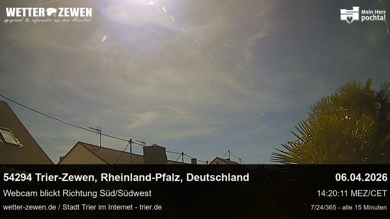 Bild