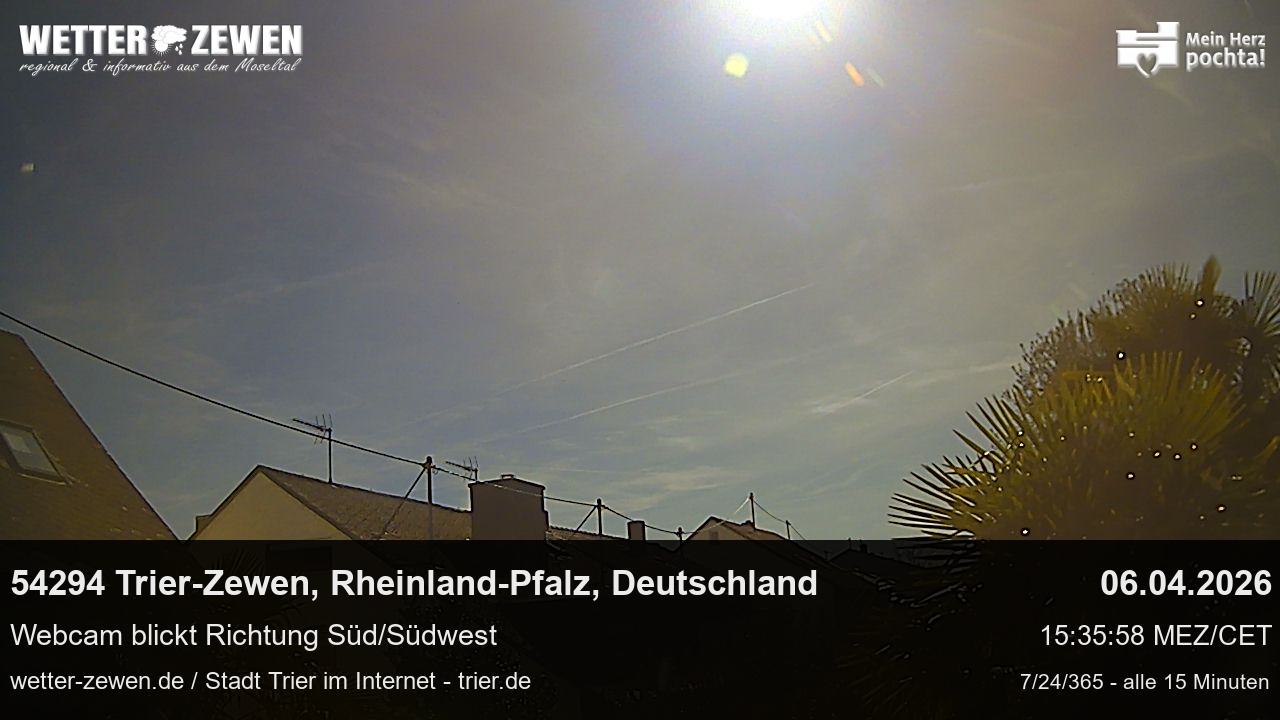Bild