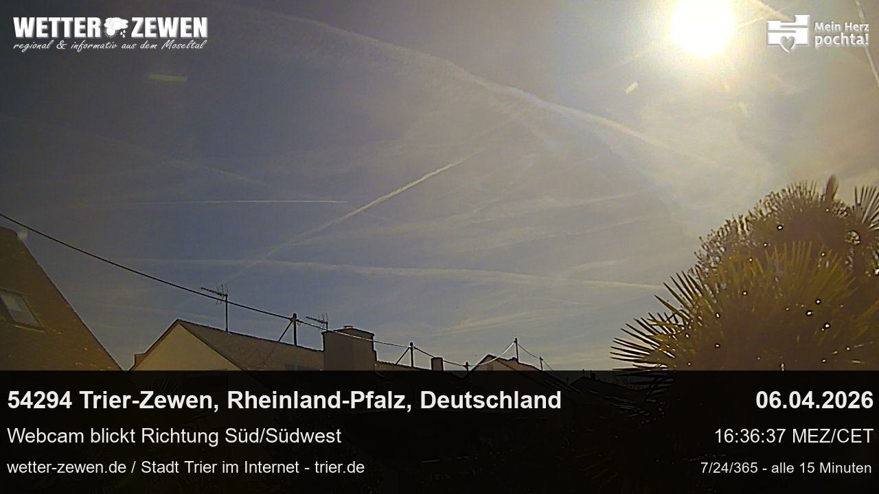 Bild