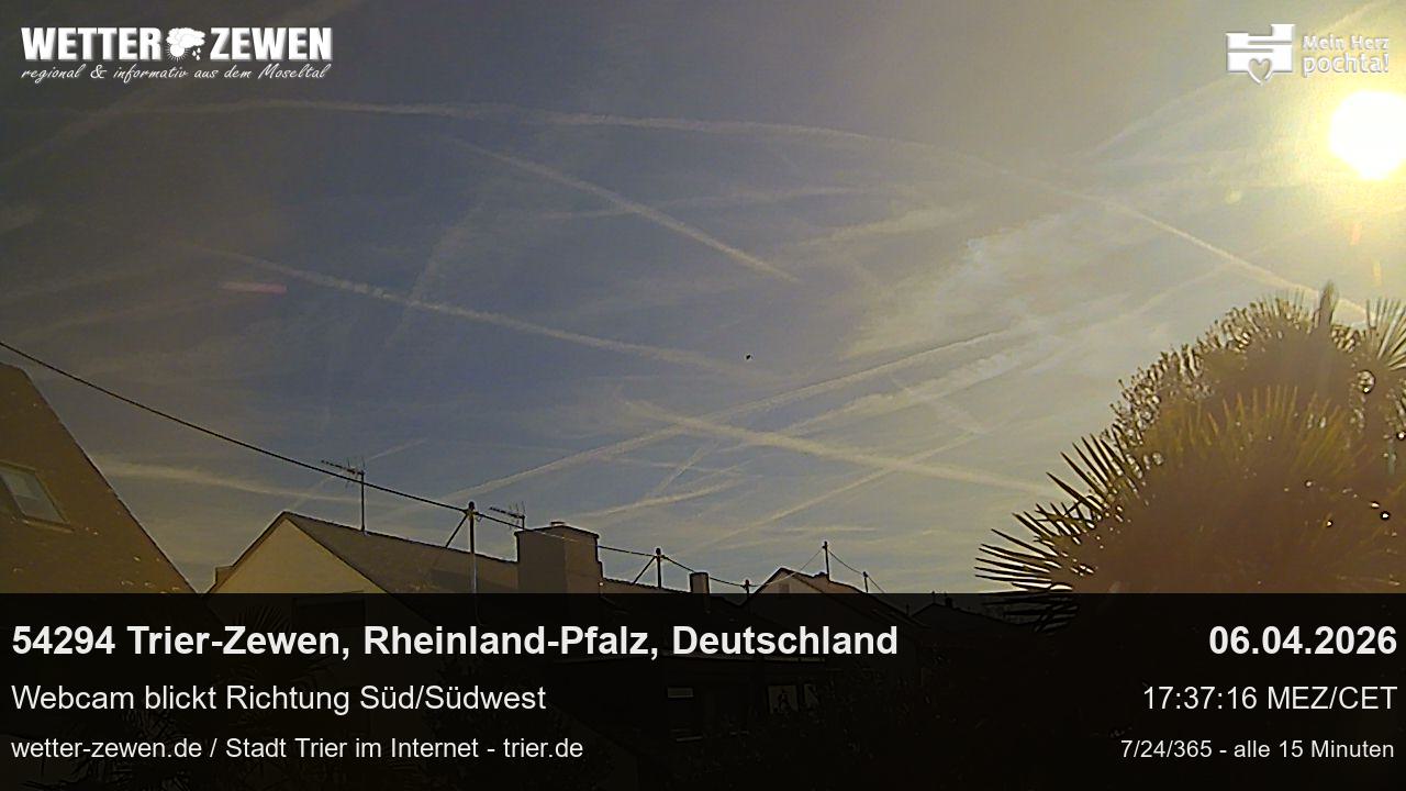 Bild