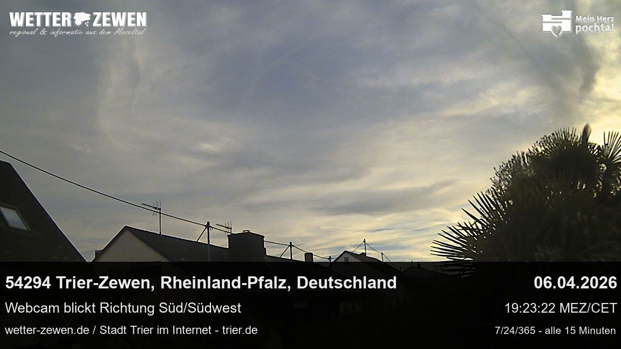 Bild