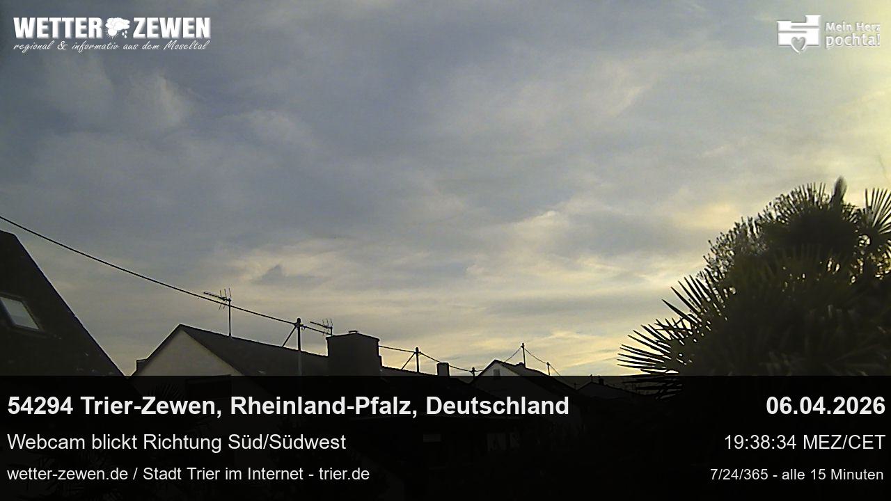 Bild