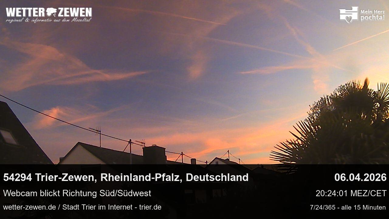 Bild