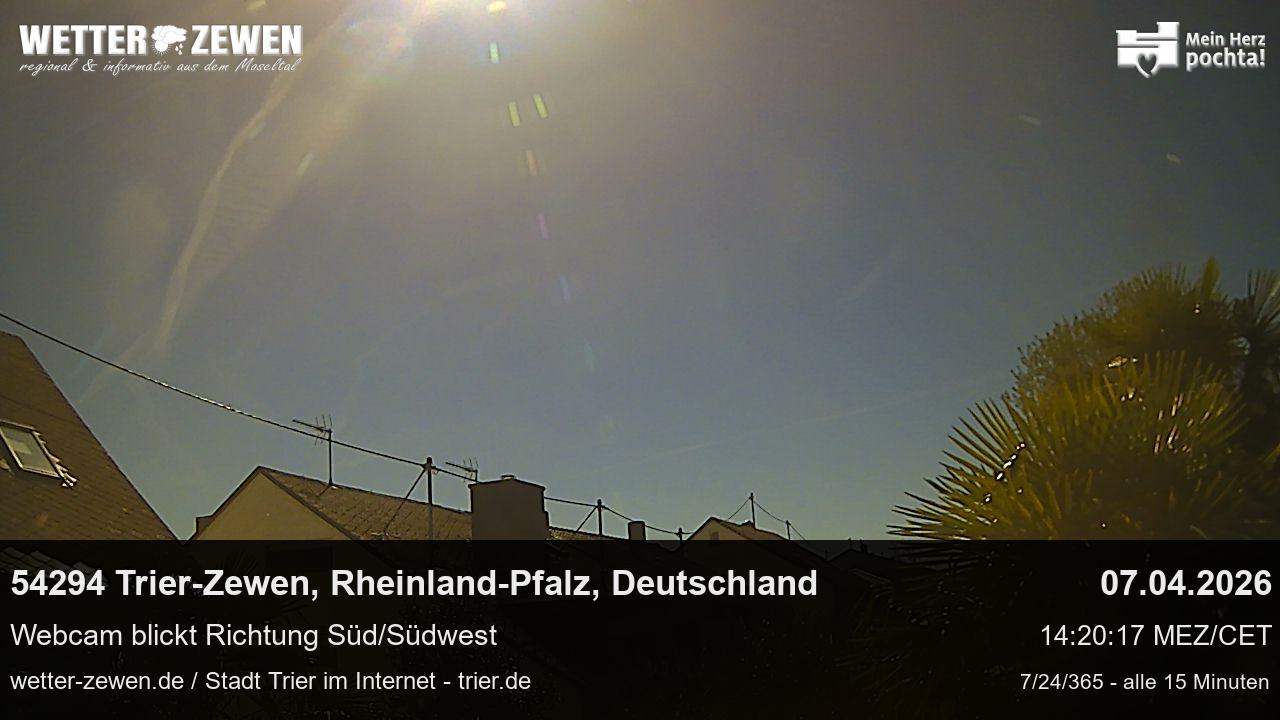 Bild