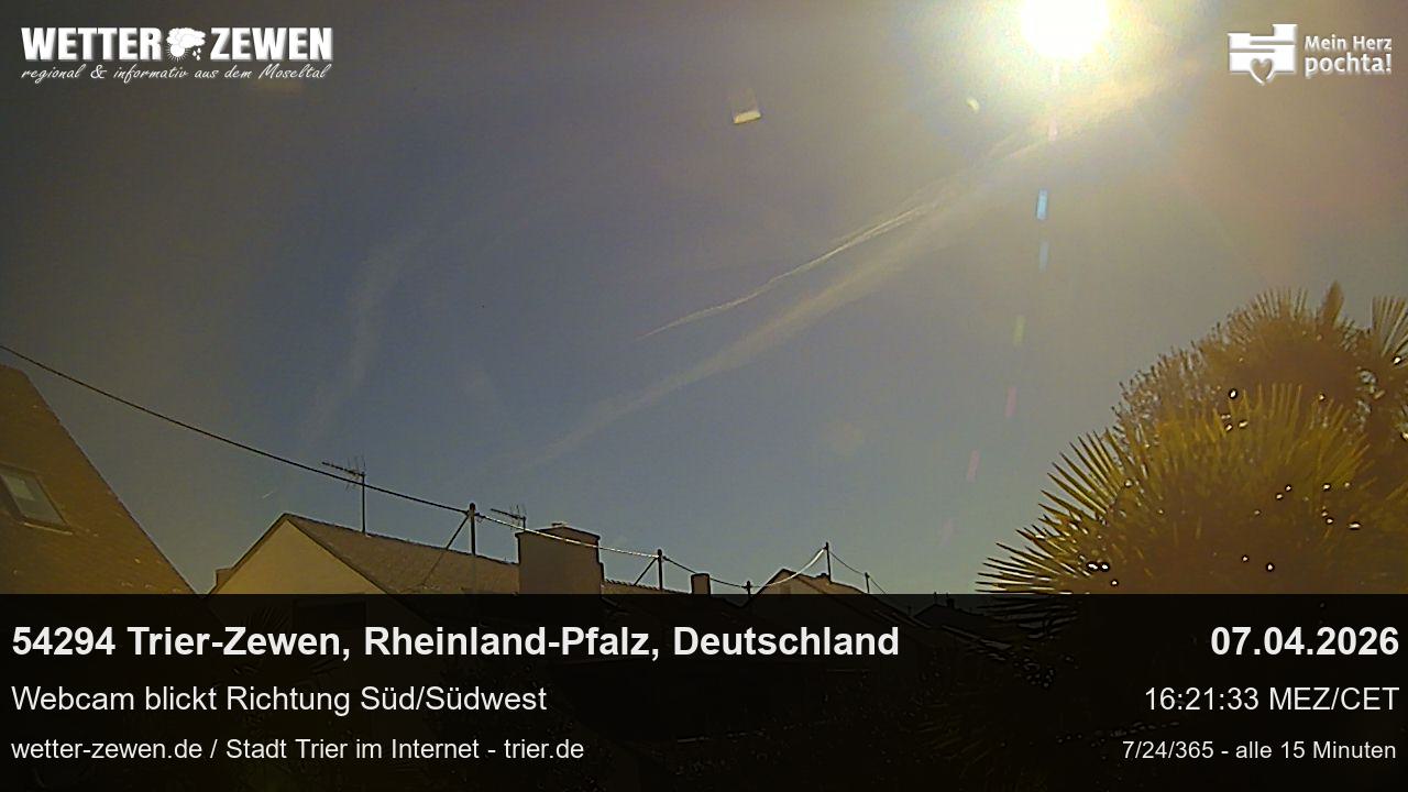 Bild