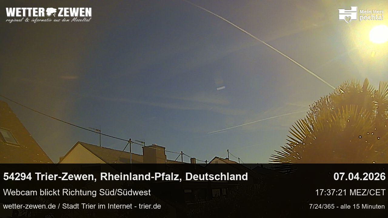 Bild