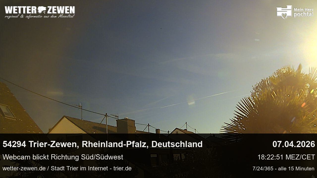 Bild