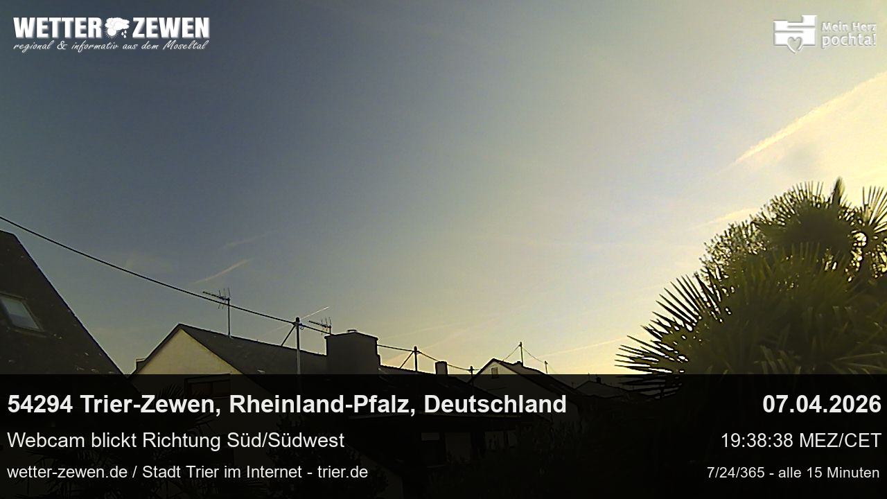 Bild