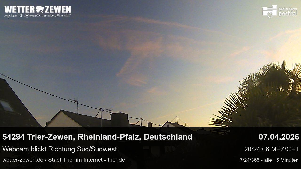 Bild