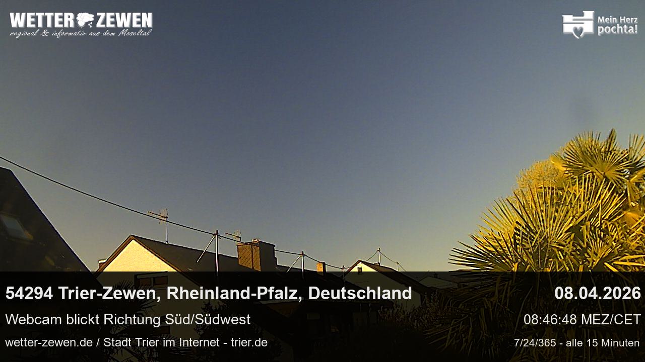 Bild