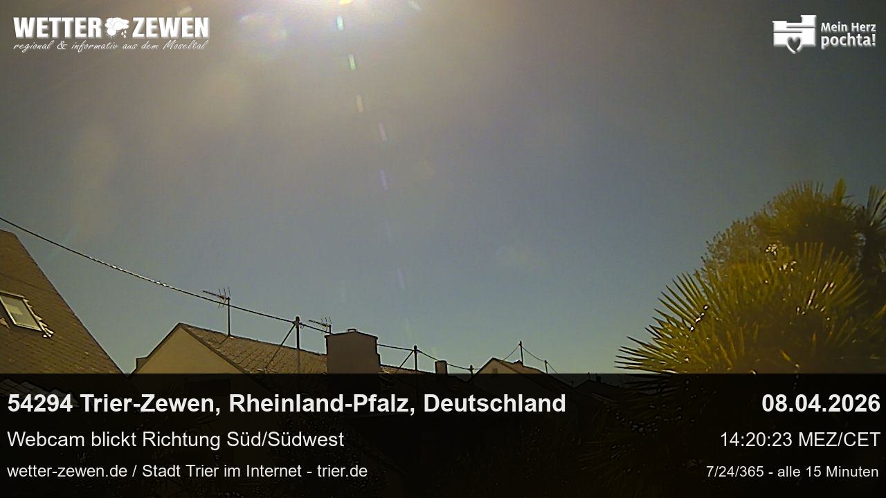 Bild