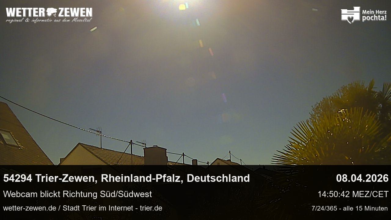 Bild