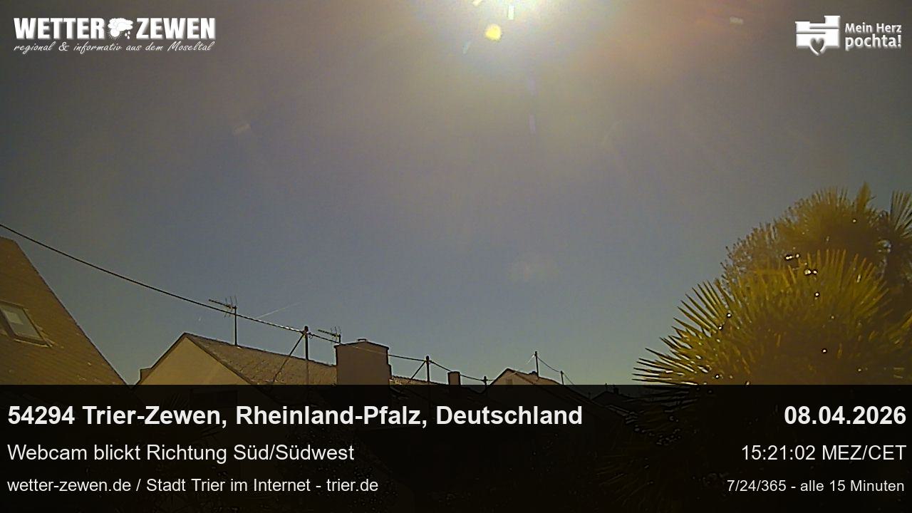 Bild