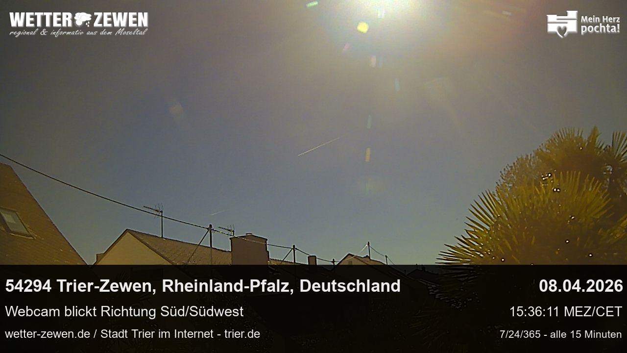 Bild