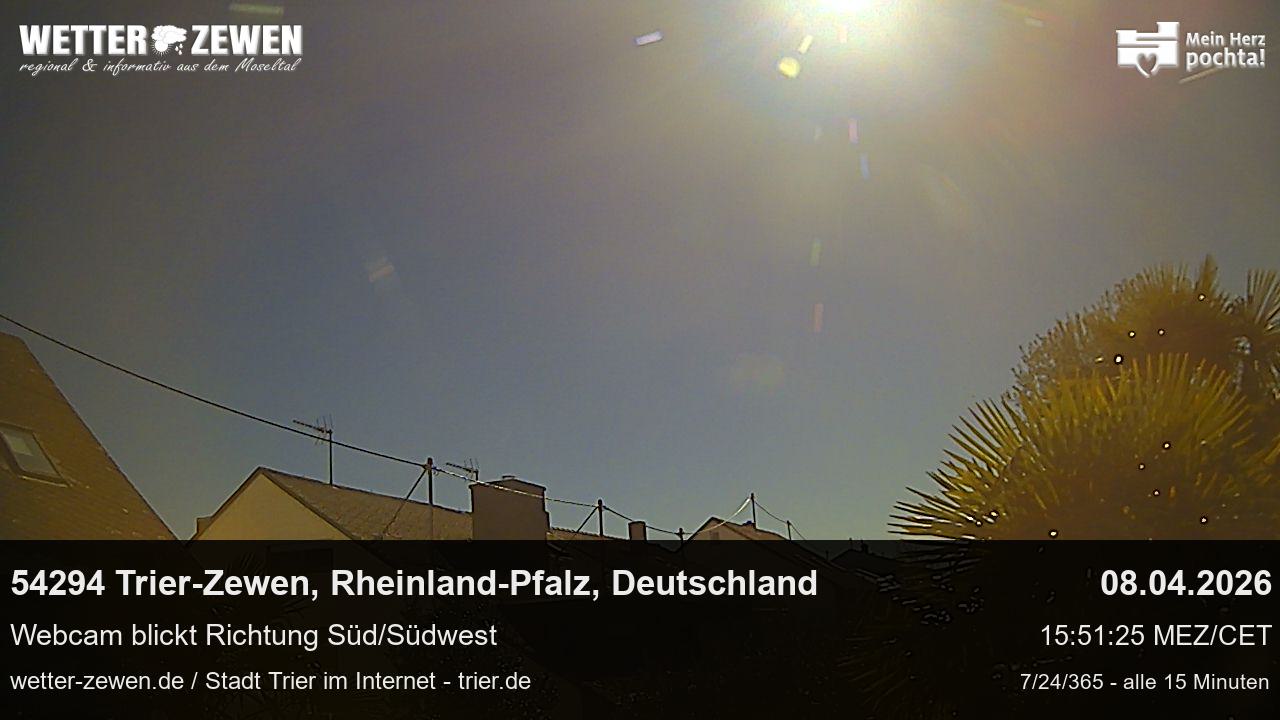 Bild