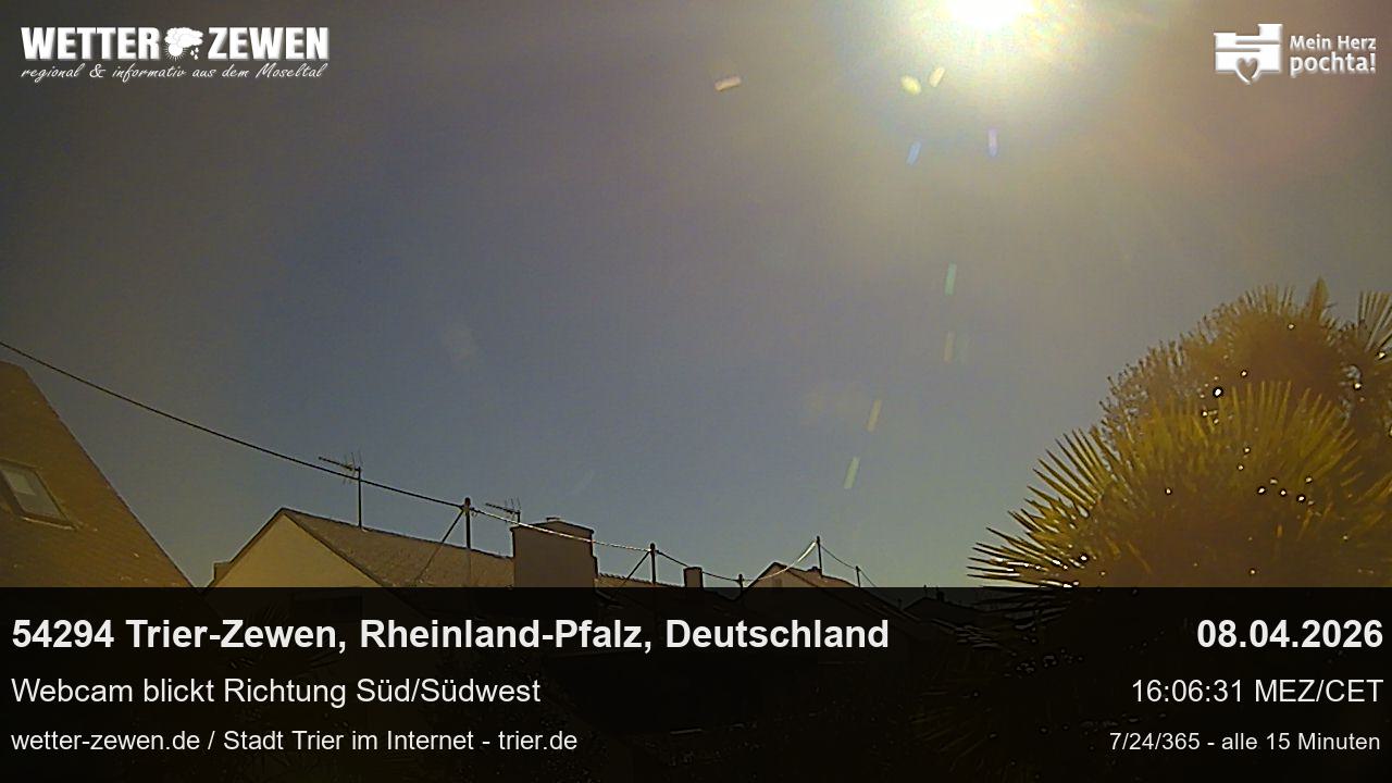 Bild