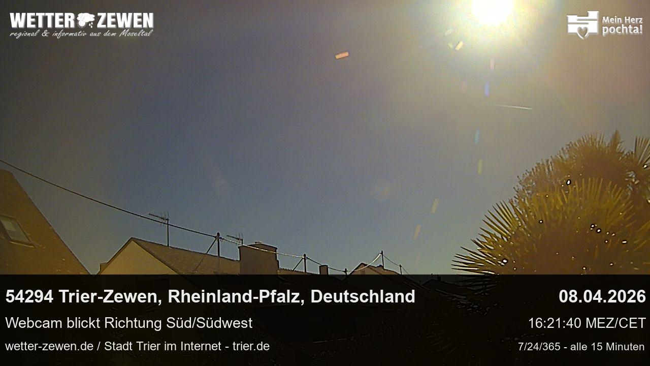 Bild