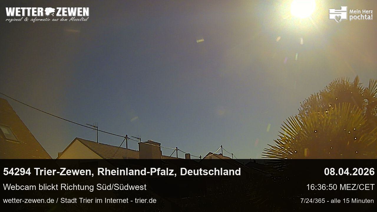 Bild
