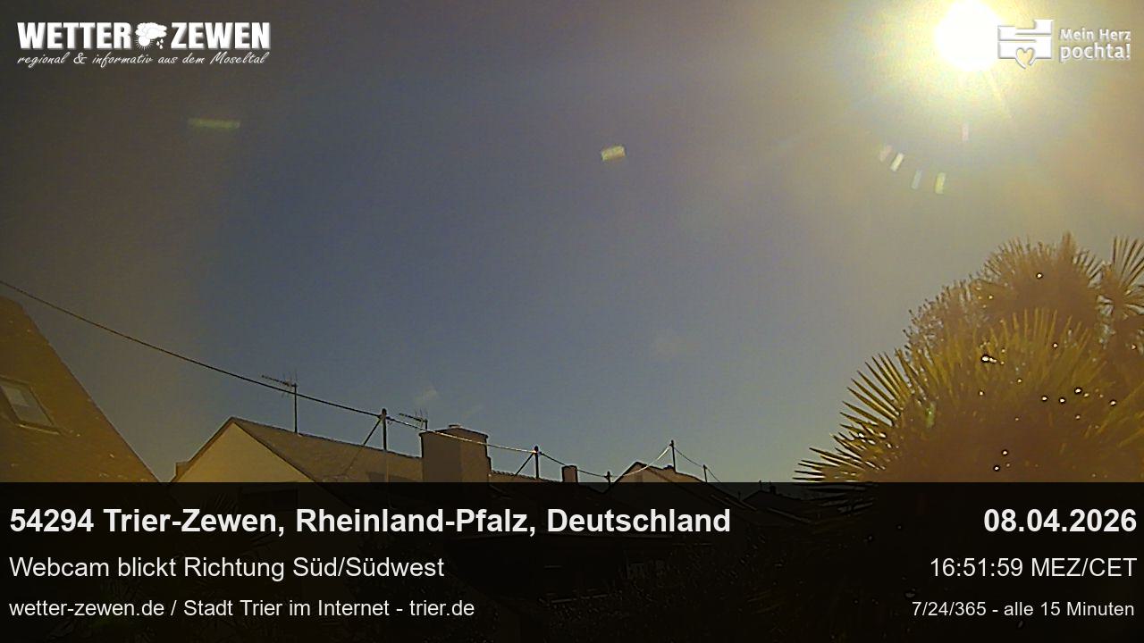 Bild