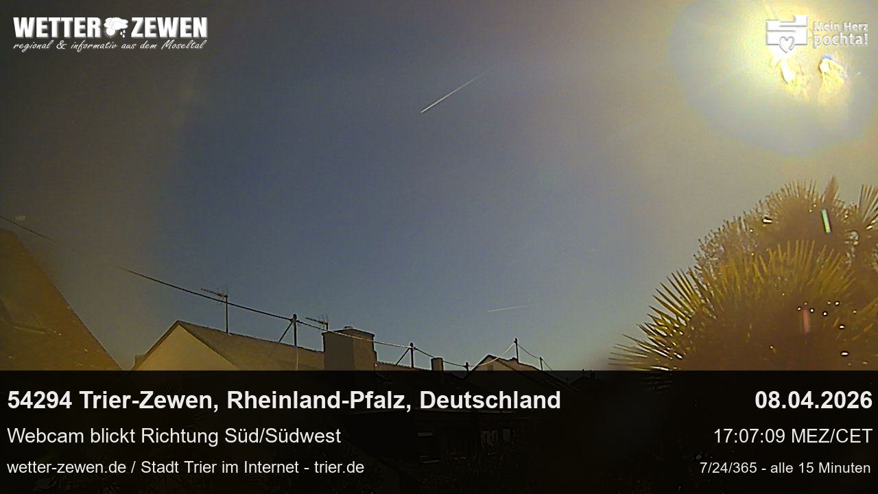 Bild