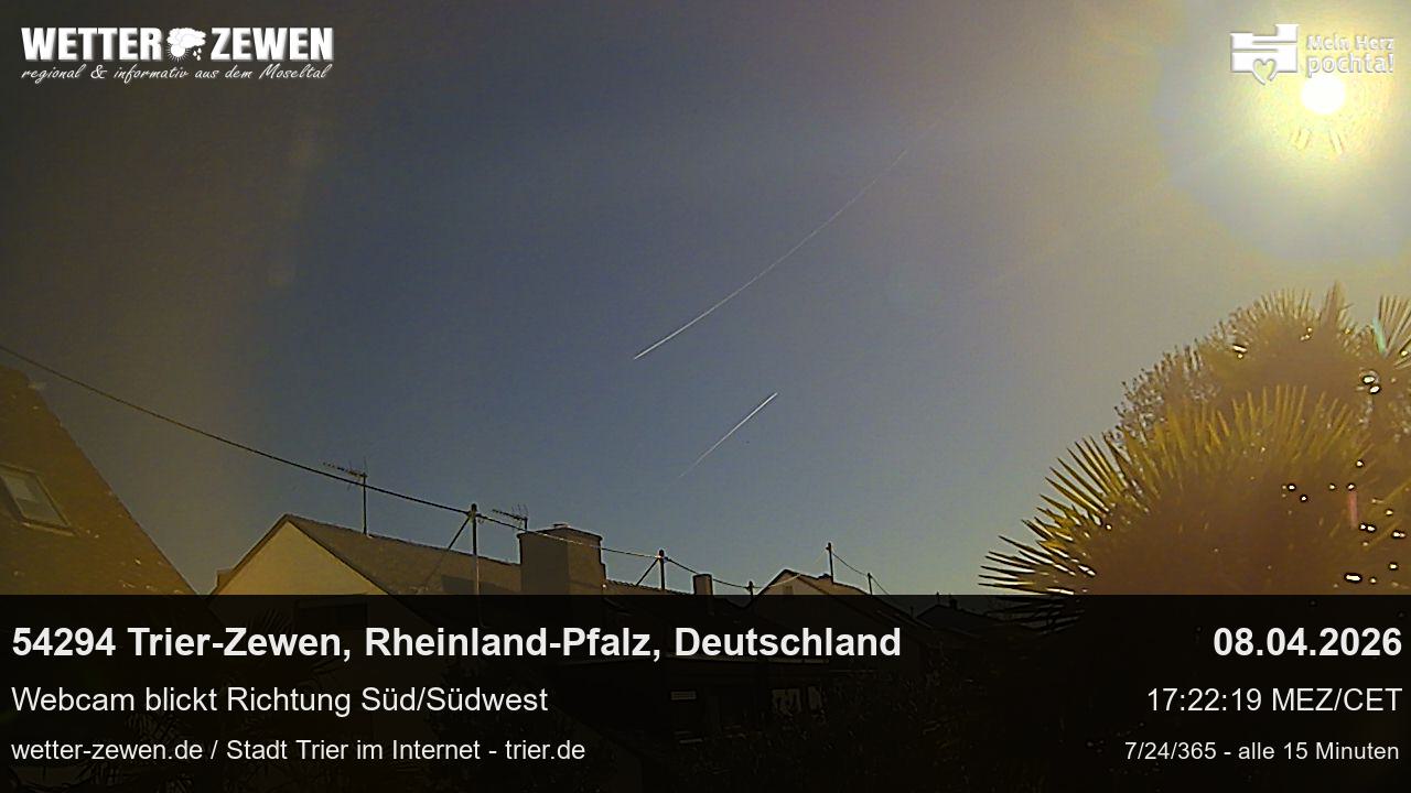 Bild