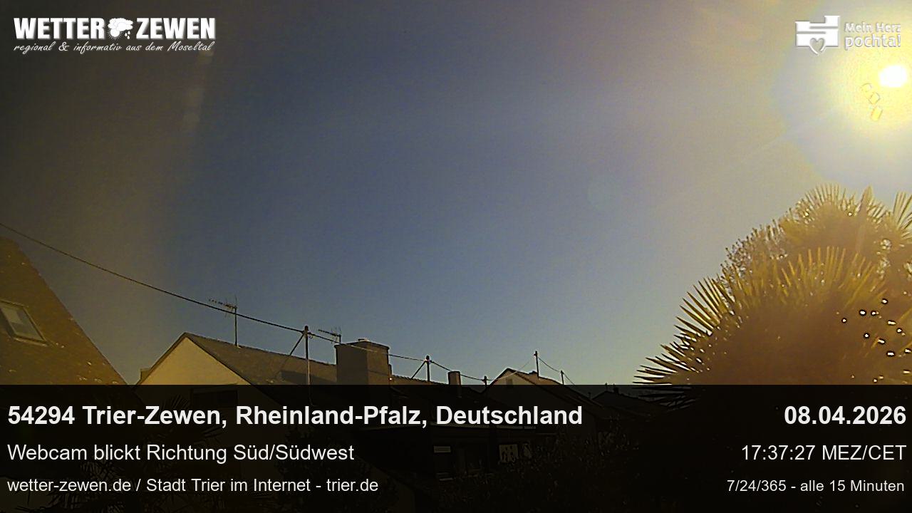 Bild