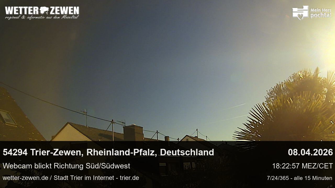 Bild