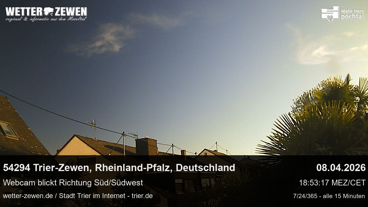 Bild