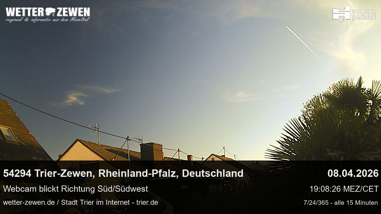 Bild