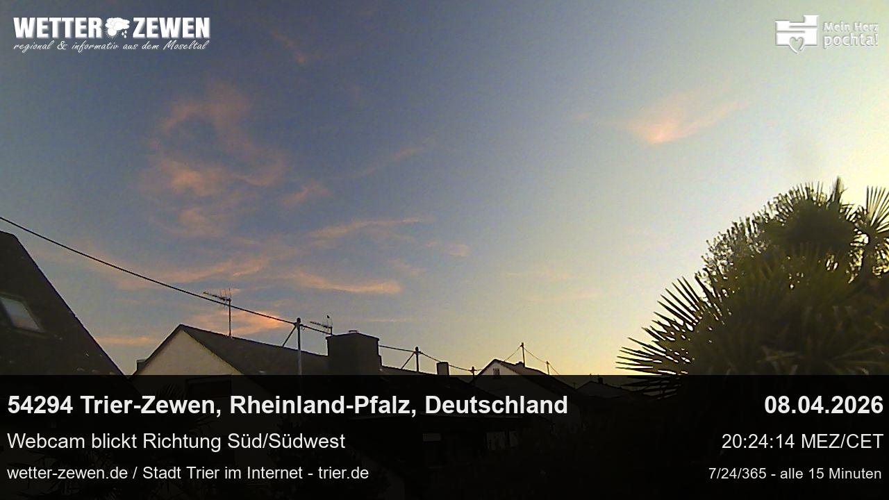 Bild