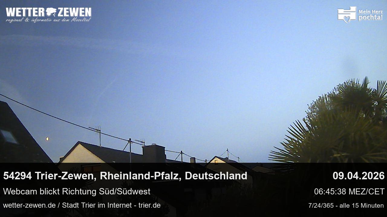 Bild