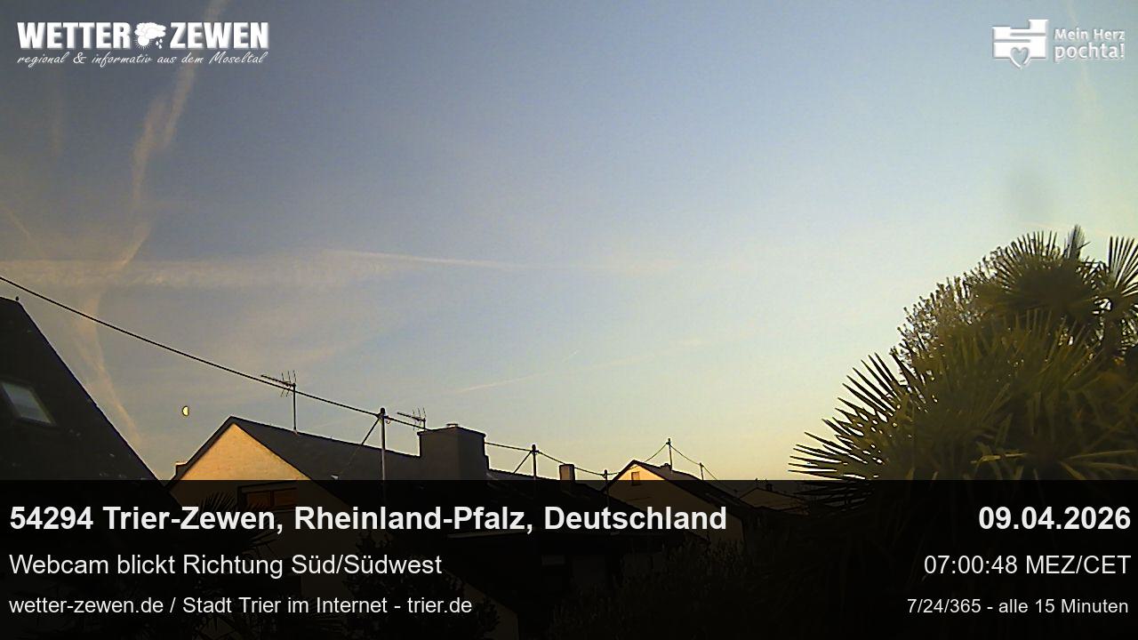 Bild