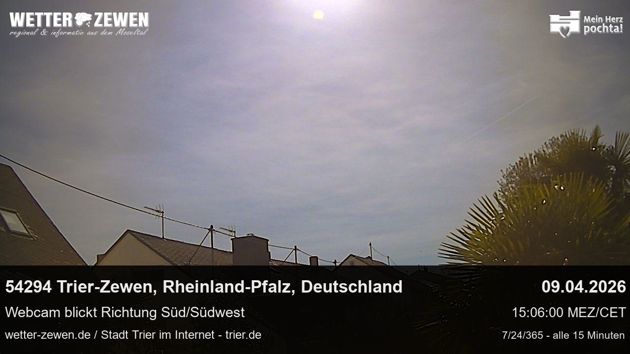 Bild