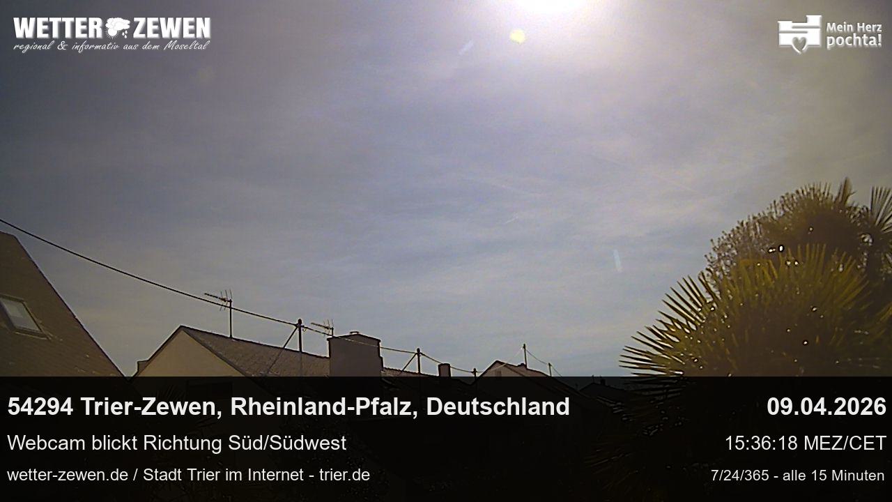 Bild