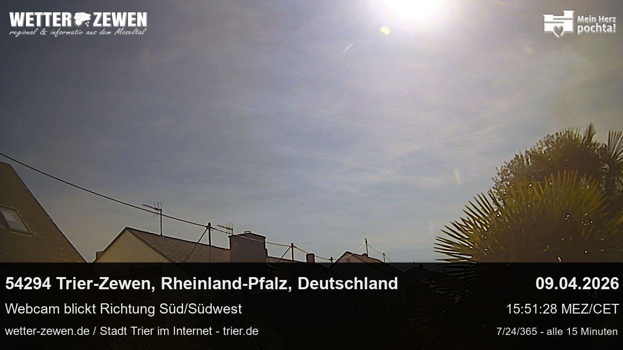 Bild