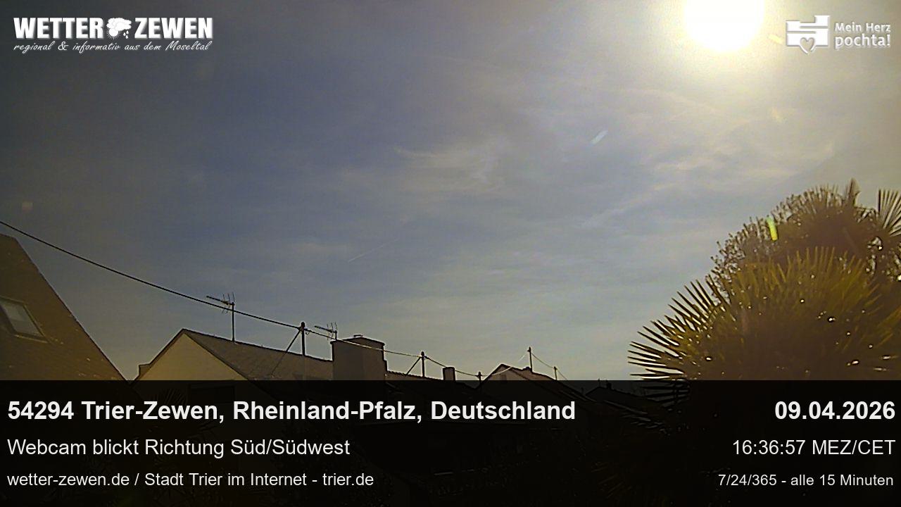 Bild
