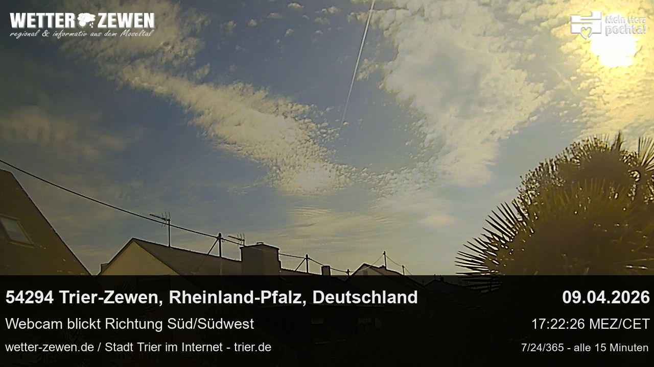 Bild