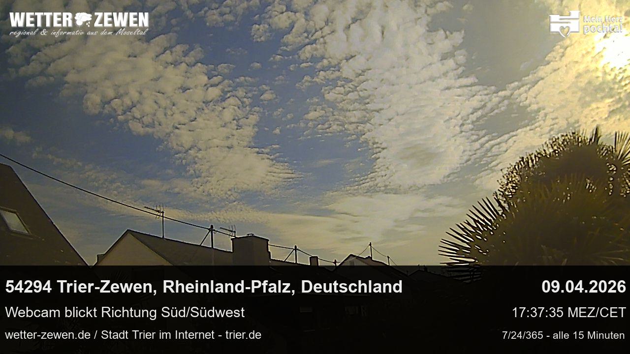 Bild
