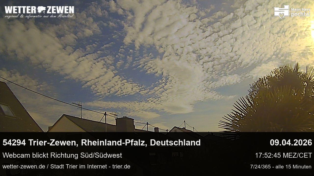 Bild